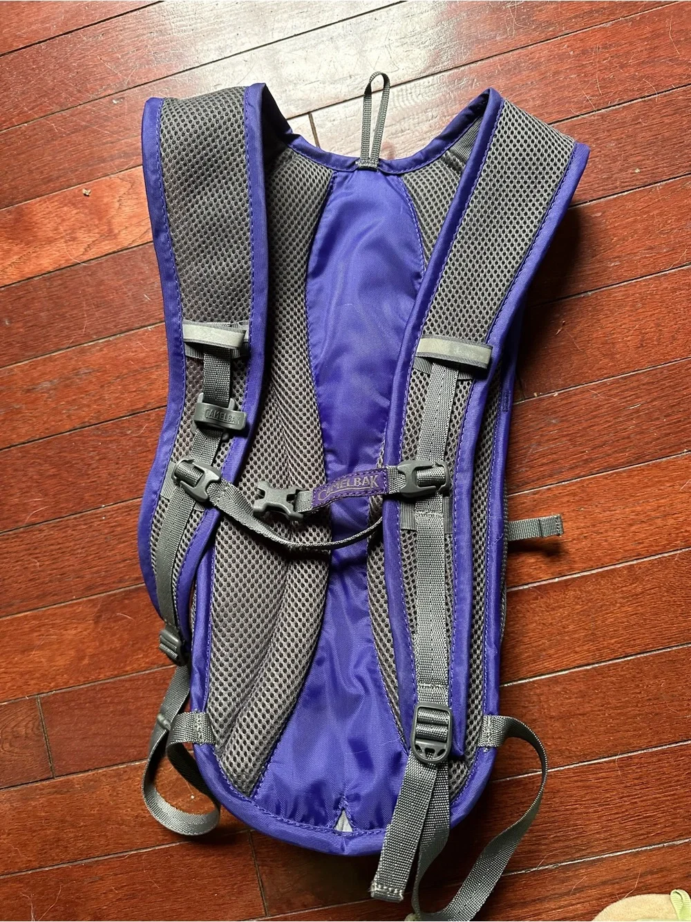 CamelBak Purple Hydration Backpack with Gray Accents